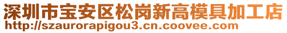 深圳市寶安區(qū)松崗新高模具加工店