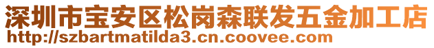 深圳市寶安區(qū)松崗森聯(lián)發(fā)五金加工店