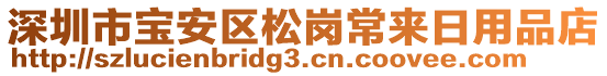 深圳市寶安區(qū)松崗常來(lái)日用品店