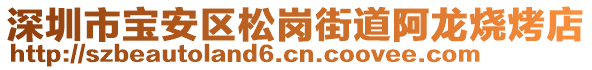 深圳市寶安區(qū)松崗街道阿龍燒烤店