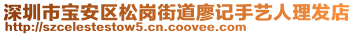 深圳市寶安區(qū)松崗街道廖記手藝人理發(fā)店