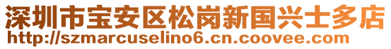 深圳市寶安區(qū)松崗新國(guó)興士多店