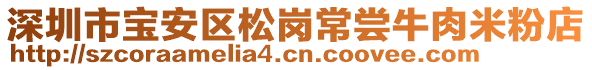 深圳市寶安區(qū)松崗常嘗牛肉米粉店