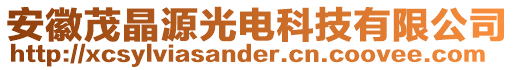 安徽茂晶源光電科技有限公司