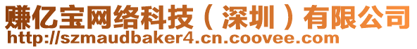 賺億寶網(wǎng)絡(luò)科技（深圳）有限公司