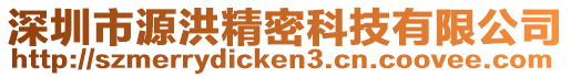 深圳市源洪精密科技有限公司