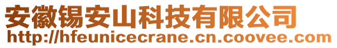 安徽錫安山科技有限公司