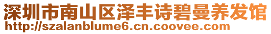 深圳市南山區(qū)澤豐詩碧曼養(yǎng)發(fā)館