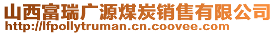 山西富瑞廣源煤炭銷售有限公司