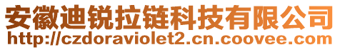 安徽迪銳拉鏈科技有限公司