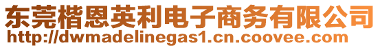 東莞楷恩英利電子商務有限公司