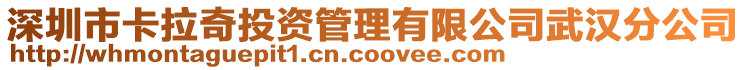 深圳市卡拉奇投資管理有限公司武漢分公司