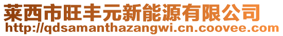 莱西市旺丰元新能源有限公司