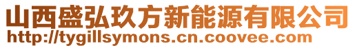 山西盛弘玖方新能源有限公司