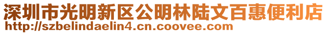 深圳市光明新區(qū)公明林陸文百惠便利店