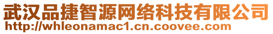 武漢品捷智源網(wǎng)絡(luò)科技有限公司