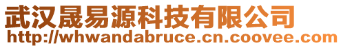 武漢晟易源科技有限公司