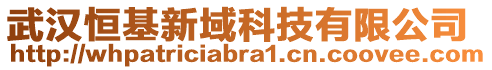 武漢恒基新域科技有限公司