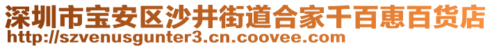 深圳市寶安區(qū)沙井街道合家千百恵百貨店