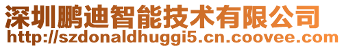 深圳鹏迪智能技术有限公司