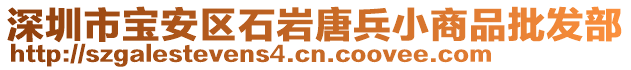 深圳市寶安區(qū)石巖唐兵小商品批發(fā)部