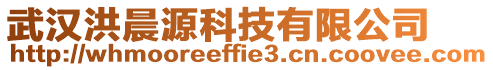 武漢洪晨源科技有限公司