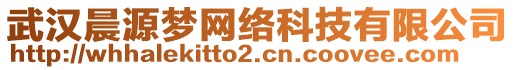 武汉晨源梦网络科技有限公司