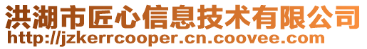 洪湖市匠心信息技術(shù)有限公司