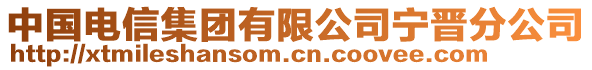 中國電信集團有限公司寧晉分公司