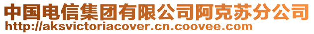 中國(guó)電信集團(tuán)有限公司阿克蘇分公司