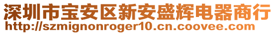 深圳市寶安區(qū)新安盛輝電器商行