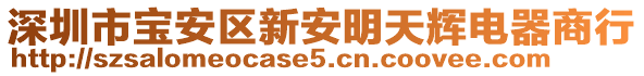 深圳市寶安區(qū)新安明天輝電器商行