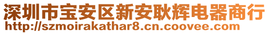 深圳市寶安區(qū)新安耿輝電器商行