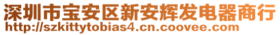 深圳市寶安區(qū)新安輝發(fā)電器商行