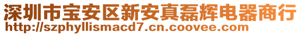 深圳市寶安區(qū)新安真磊輝電器商行