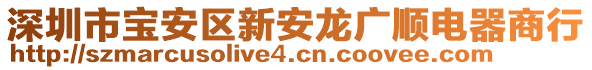 深圳市寶安區(qū)新安龍廣順電器商行