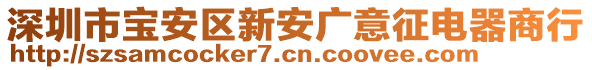 深圳市寶安區(qū)新安廣意征電器商行