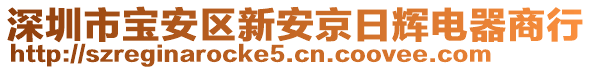 深圳市寶安區(qū)新安京日輝電器商行