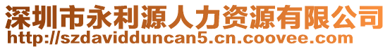 深圳市永利源人力資源有限公司