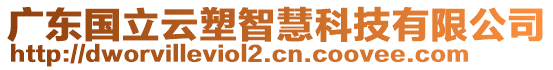 廣東國立云塑智慧科技有限公司