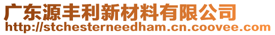 廣東源豐利新材料有限公司