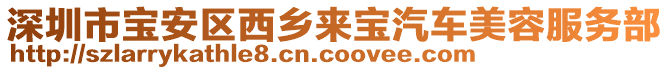 深圳市寶安區(qū)西鄉(xiāng)來寶汽車美容服務部