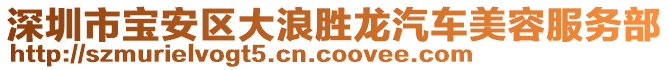 深圳市寶安區(qū)大浪勝龍汽車美容服務(wù)部