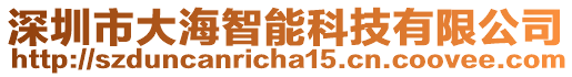 深圳市大海智能科技有限公司