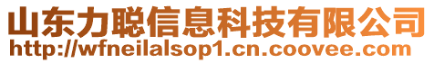 山東力聰信息科技有限公司