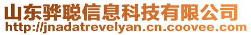 山東驊聰信息科技有限公司