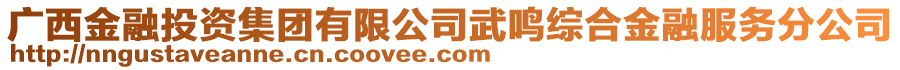 廣西金融投資集團有限公司武鳴綜合金融服務(wù)分公司