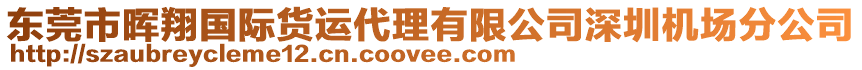 東莞市暉翔國(guó)際貨運(yùn)代理有限公司深圳機(jī)場(chǎng)分公司