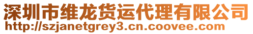 深圳市維龍貨運代理有限公司