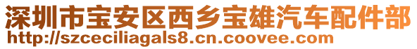 深圳市寶安區(qū)西鄉(xiāng)寶雄汽車配件部